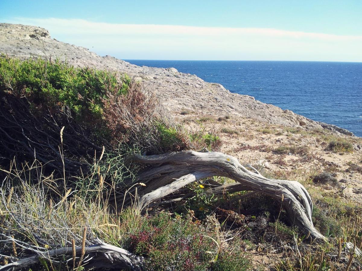 B&B Il Girasole Sant'Anna Arresi Bagian luar foto