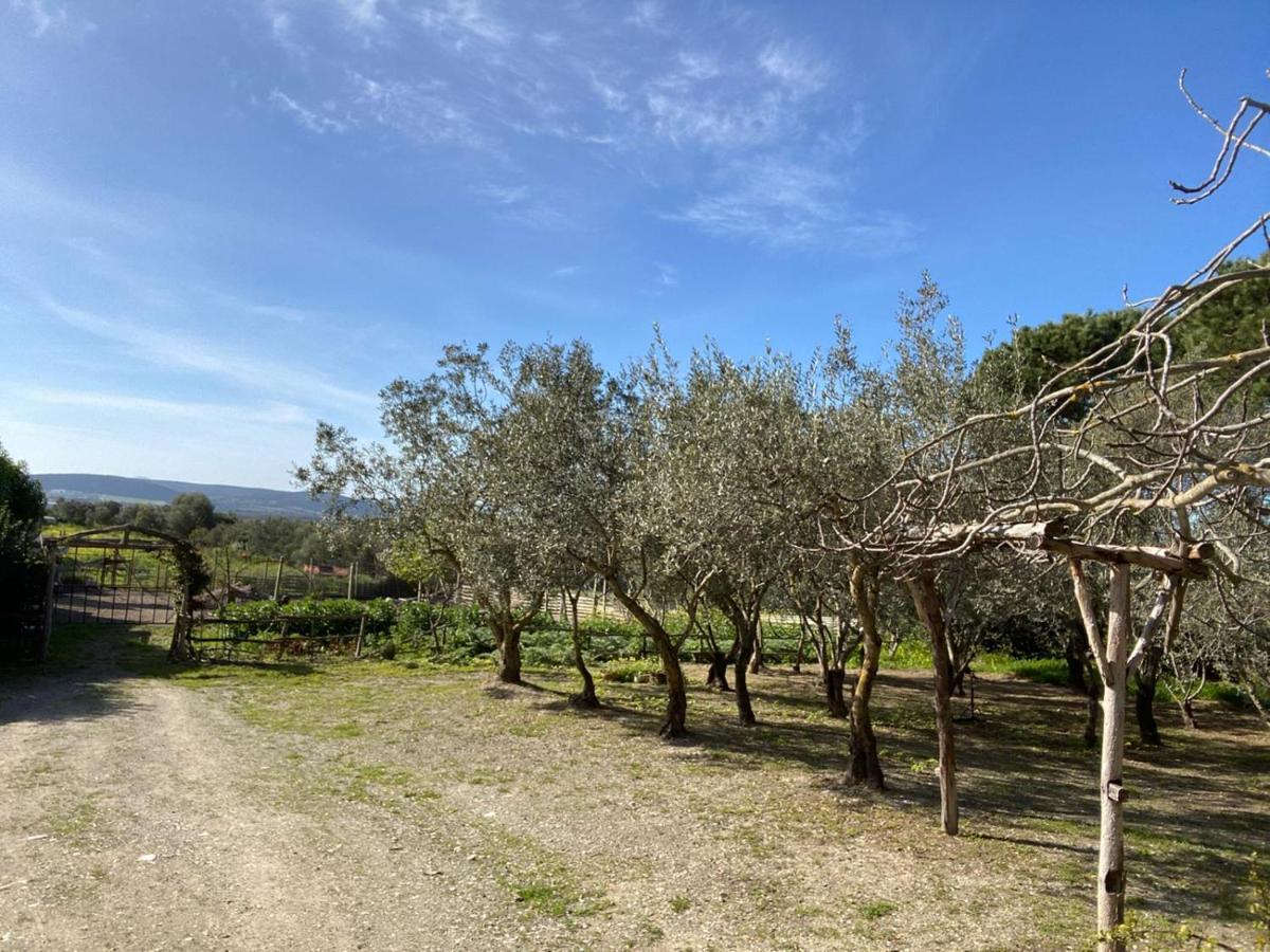 B&B Il Girasole Sant'Anna Arresi Bagian luar foto