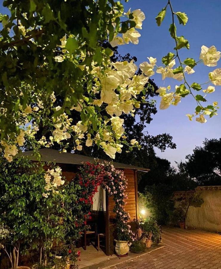 B&B Il Girasole Sant'Anna Arresi Bagian luar foto