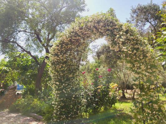 B&B Il Girasole Sant'Anna Arresi Bagian luar foto