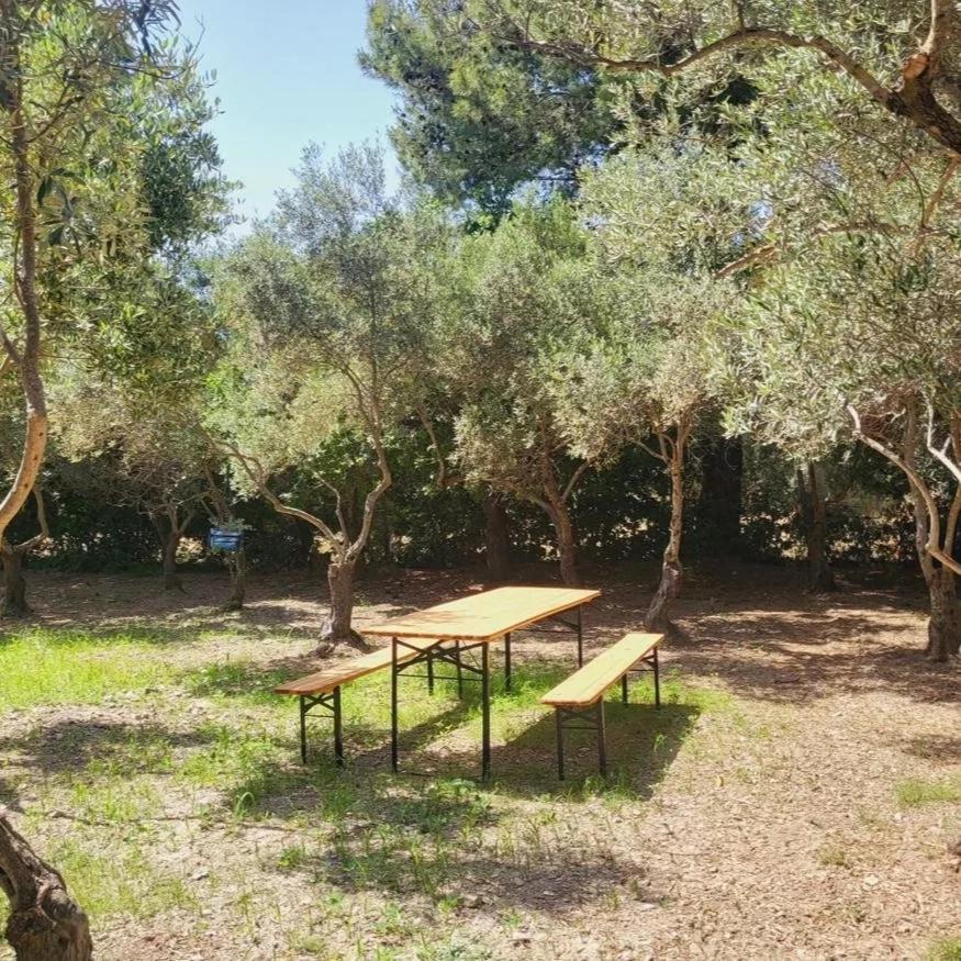 B&B Il Girasole Sant'Anna Arresi Bagian luar foto