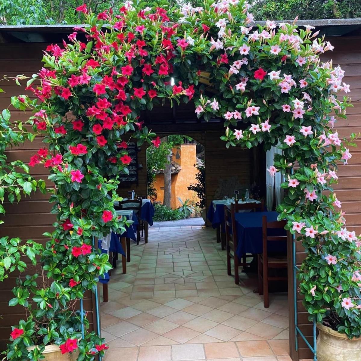 B&B Il Girasole Sant'Anna Arresi Bagian luar foto